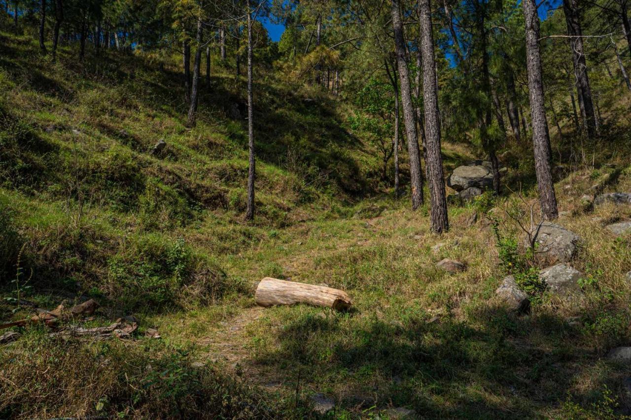 Stayvista At Floradale W Jacuzzi & Wood-Fire Pizza Kasauli Ngoại thất bức ảnh
